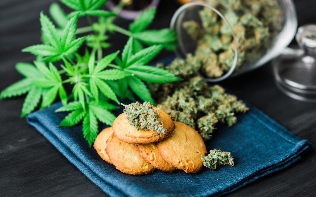 How Long Do Cannabis Edibles Stay In Your System?